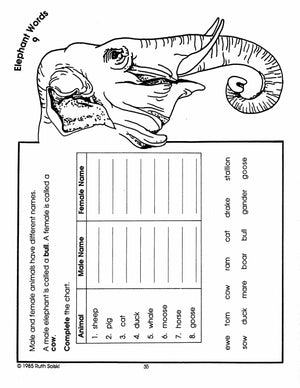 All About Elephants Grades 3-4