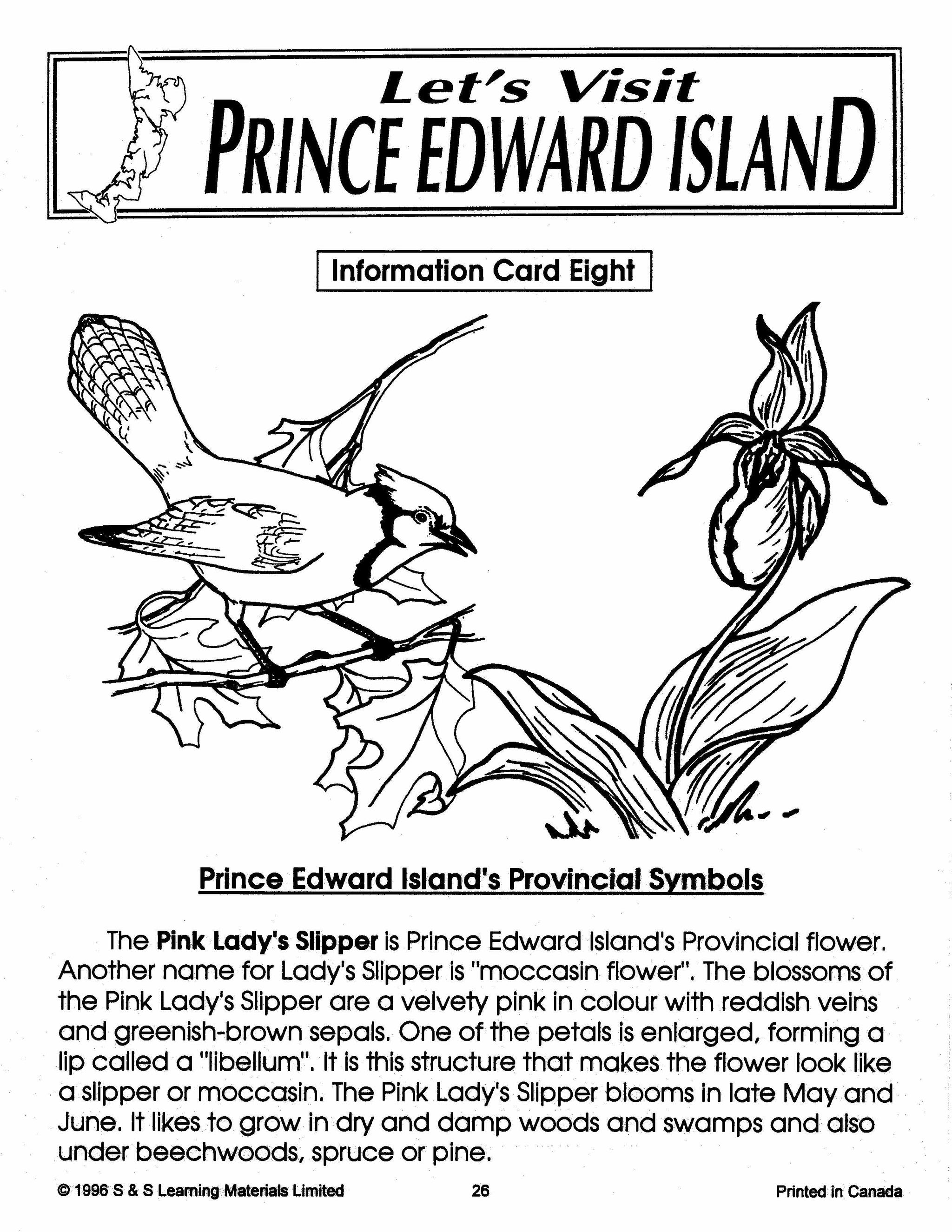 Let's Visit The Prairies A 3 Book Bundle Grades 2-4