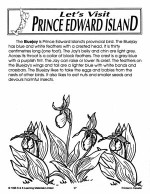 Let's Visit The Prairies A 3 Book Bundle Grades 2-4