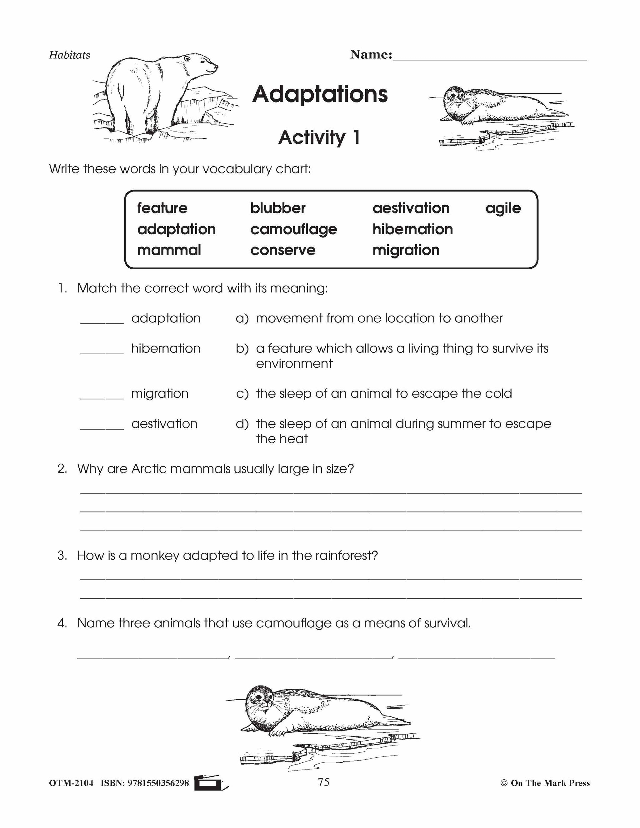 Adaptations Lesson Plan Grades 4-6