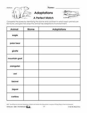 Adaptations Lesson Plan Grades 4-6
