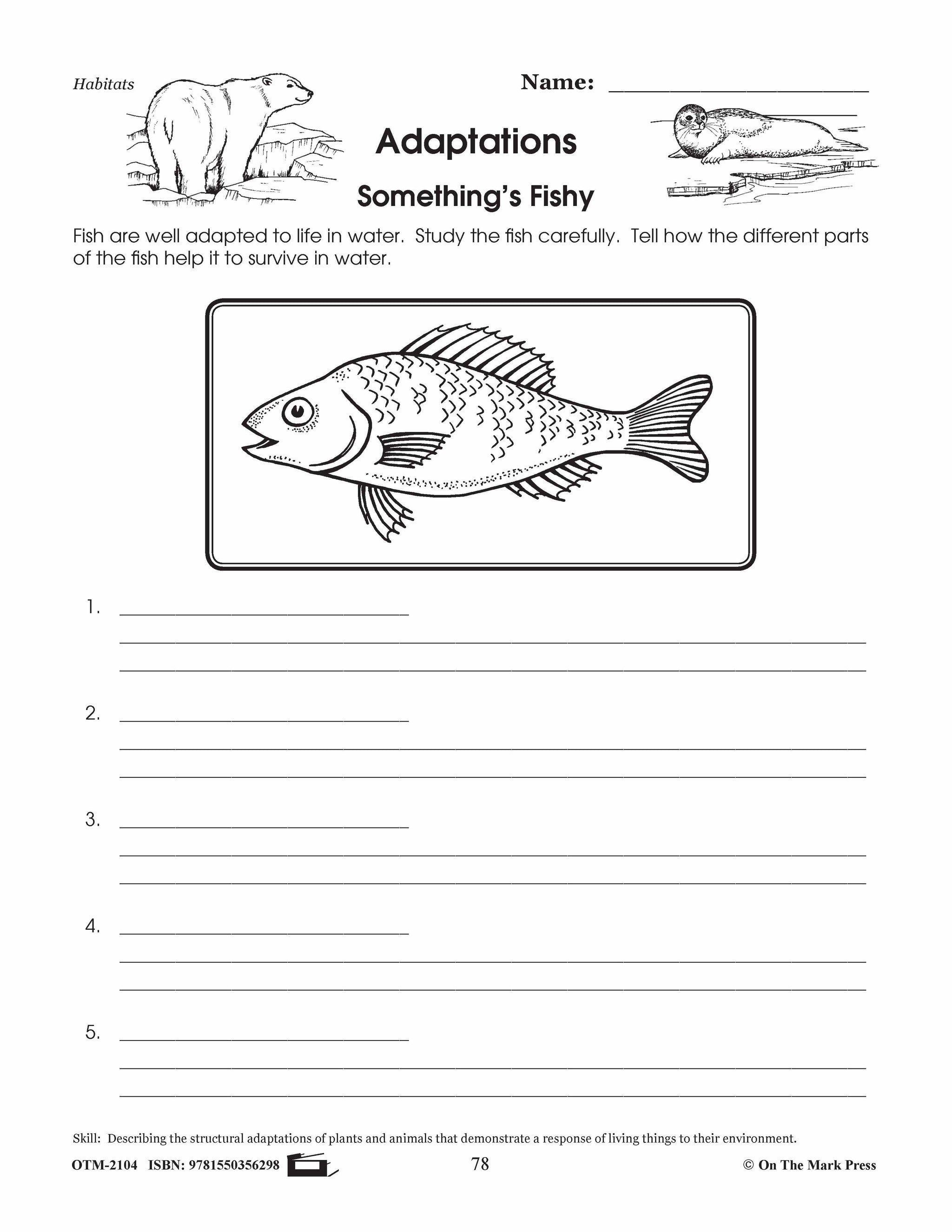 Adaptations Lesson Plan Grades 4-6