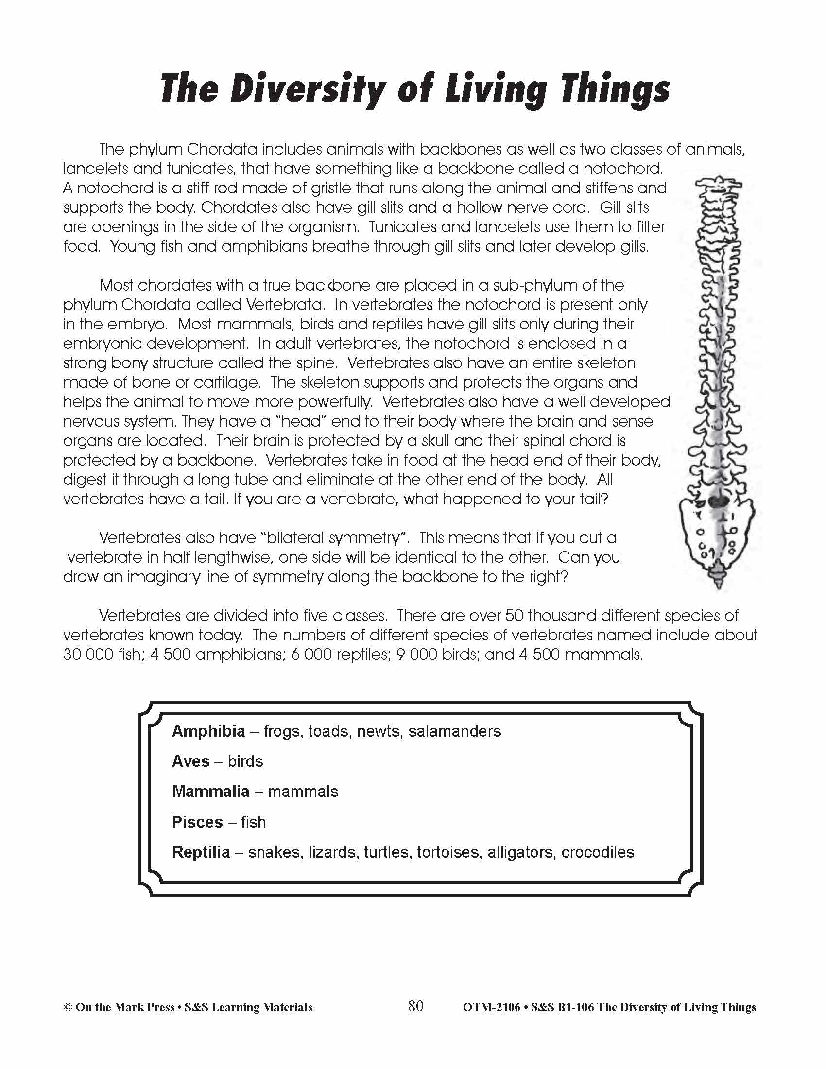 Backbone or No Backbone Lesson Plan Grades 4-6