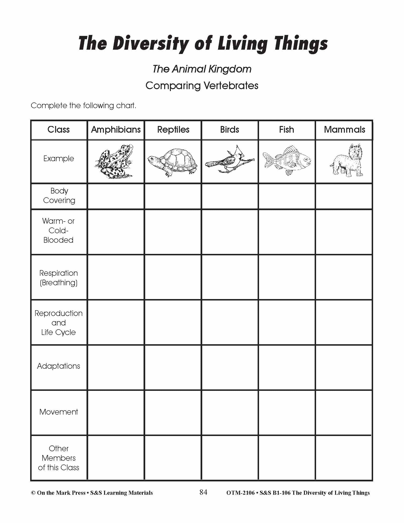 Backbone or No Backbone Lesson Plan Grades 4-6