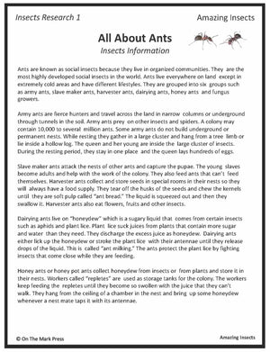 Amazing Insect: 6 Information Research Topics Grades 4-6 Google Slides & Printables