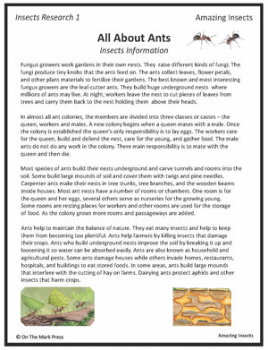 Amazing Insect: 6 Information Research Topics Grades 4-6 Google Slides & Printables