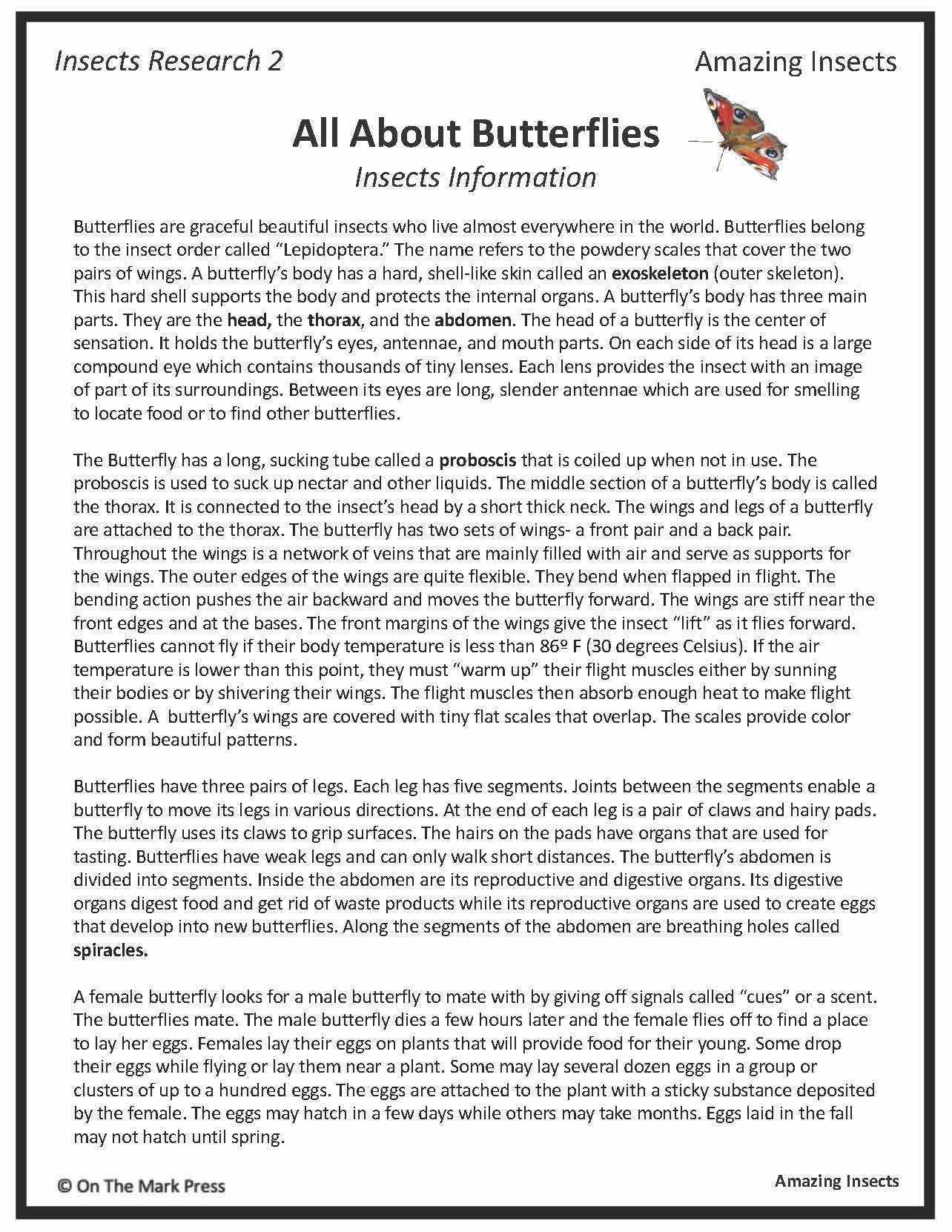 Amazing Insect: 6 Information Research Topics Grades 4-6 Google Slides & Printables