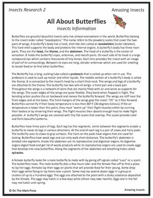 Amazing Insect: 6 Information Research Topics Grades 4-6 Google Slides & Printables