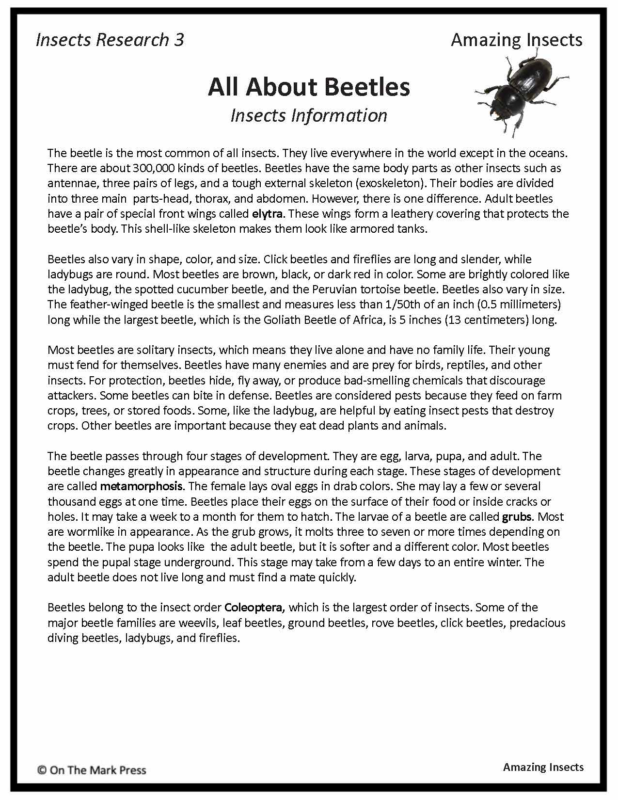 Amazing Insect: 6 Information Research Topics Grades 4-6 Google Slides & Printables