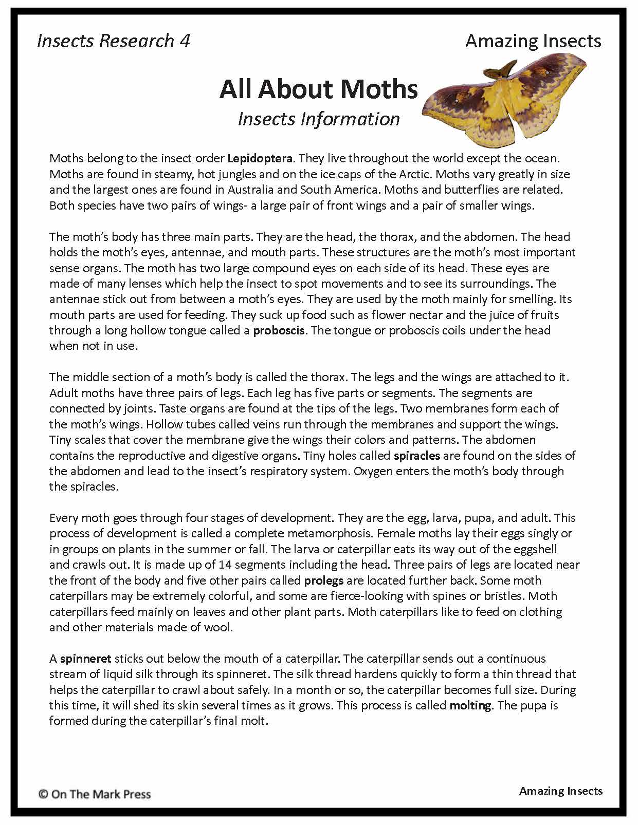 Amazing Insect: 6 Information Research Topics Grades 4-6 Google Slides & Printables