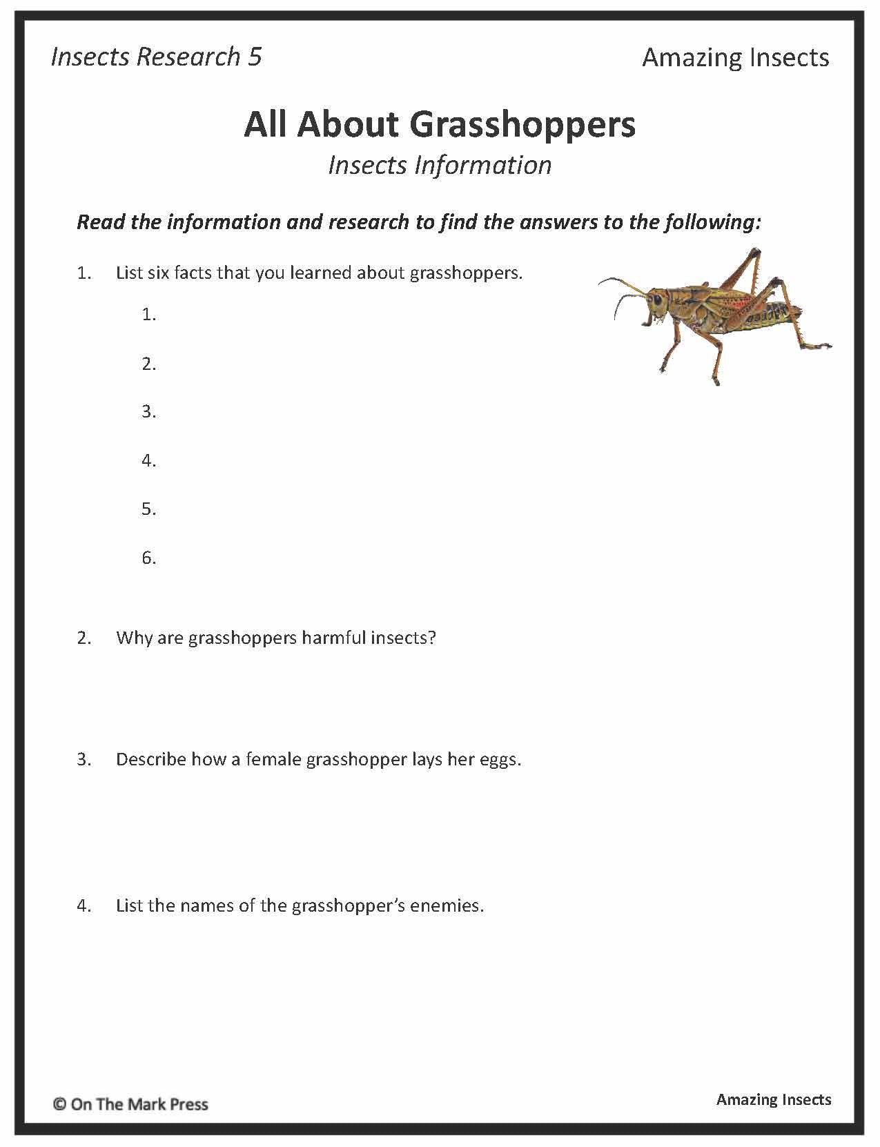Amazing Insect: 6 Information Research Topics Grades 4-6 Google Slides & Printables