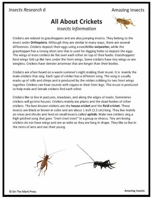 Amazing Insect: 6 Information Research Topics Grades 4-6 Google Slides & Printables