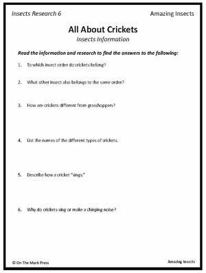 Amazing Insect: 6 Information Research Topics Grades 4-6 Google Slides & Printables