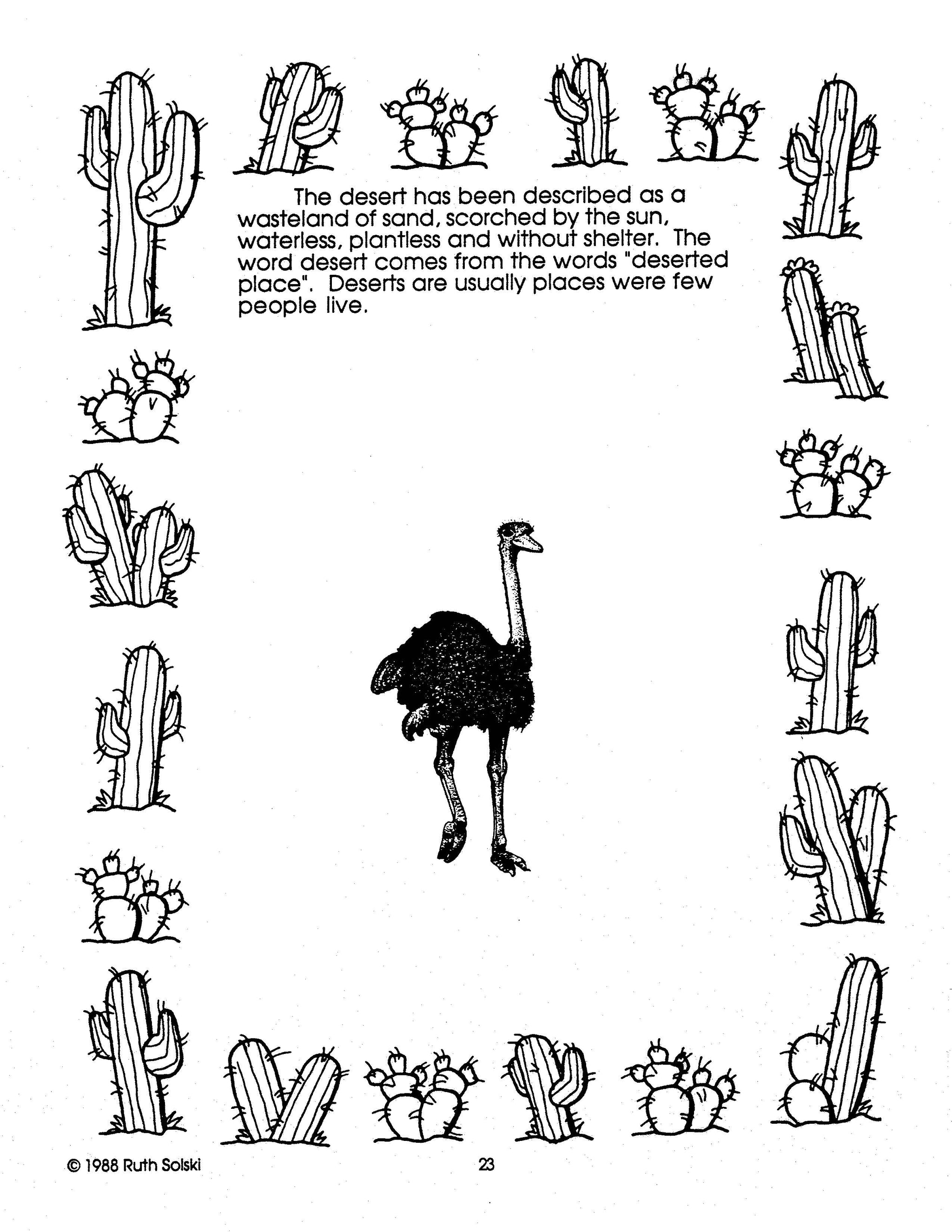 All About Deserts Grades 4-6