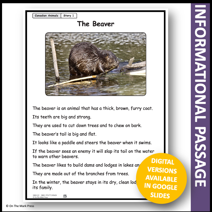 The Beaver Reading Lesson Gr. 1-2 Google Slides & Printables Distance Learning