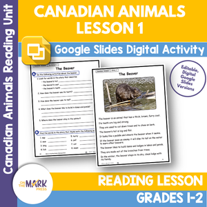 The Beaver Reading Lesson Gr. 1-2 Google Slides & Printables Distance Learning