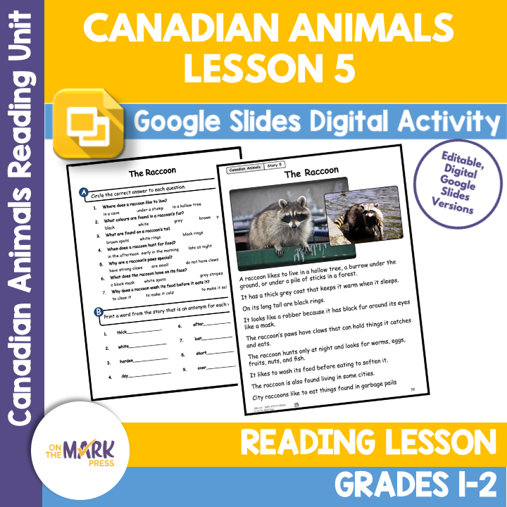 The Raccoon Reading Lesson Gr. 1-2 Google Slides & Printables Distance Learning