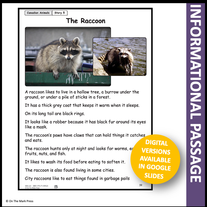 The Raccoon Reading Lesson Gr. 1-2 Google Slides & Printables Distance Learning