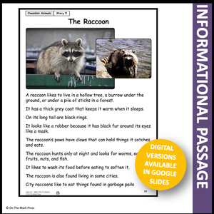 The Raccoon Reading Lesson Gr. 1-2 Google Slides & Printables Distance Learning
