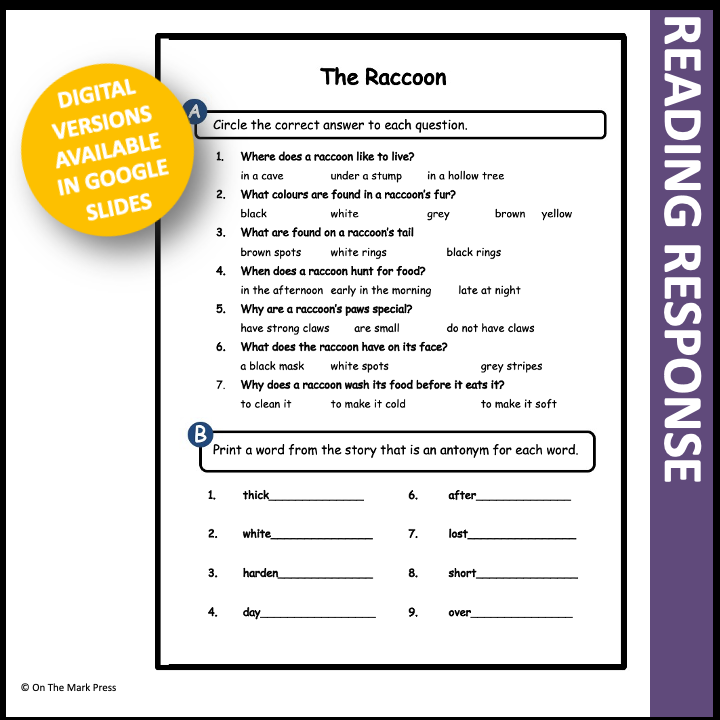 The Raccoon Reading Lesson Gr. 1-2 Google Slides & Printables Distance Learning