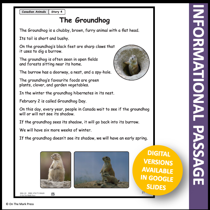The Groundhog Reading Lesson Gr. 1-2 Google Slides & Printables Distance Learning