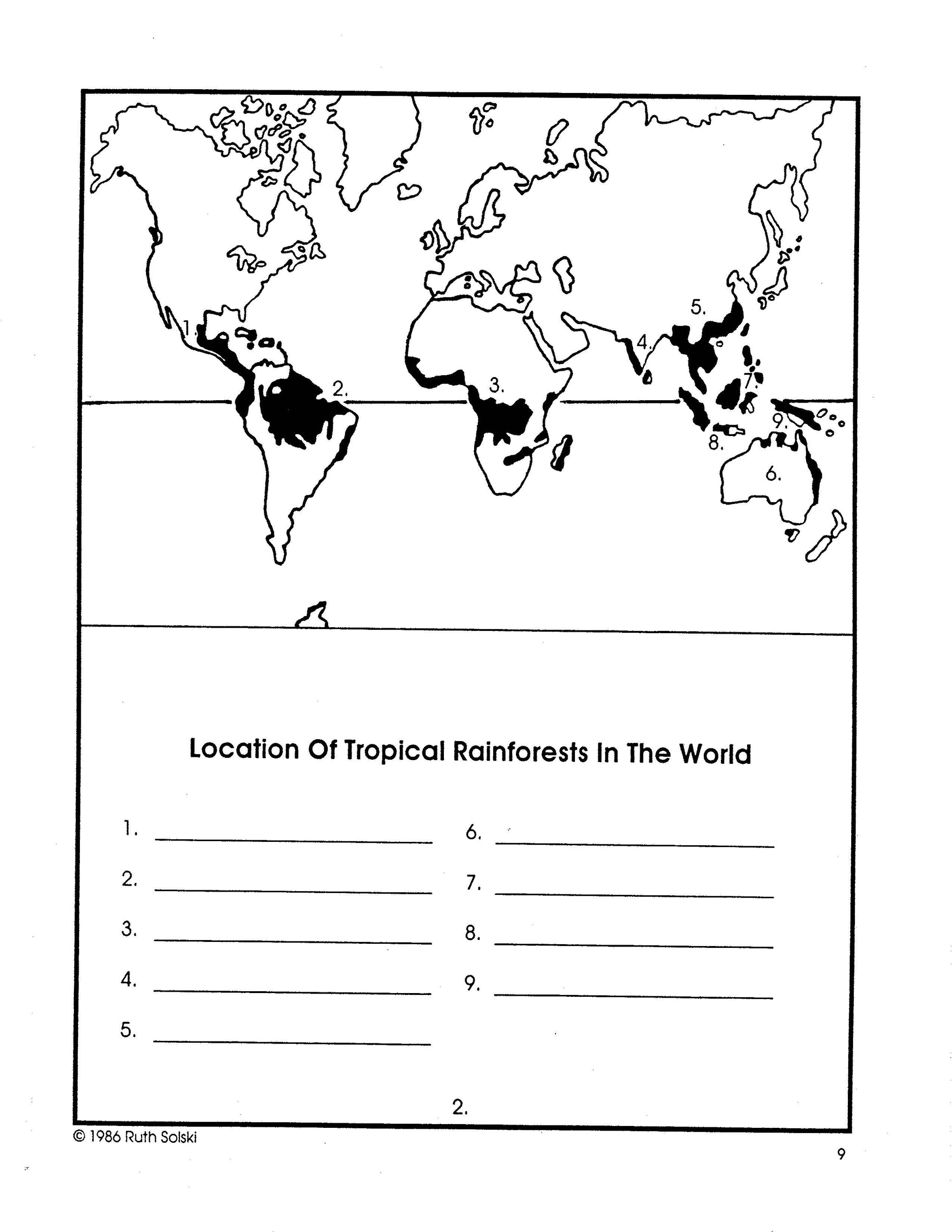 All About Tropical Rainforests Grades 4-6 Plants, Animals, Life in the Amazon