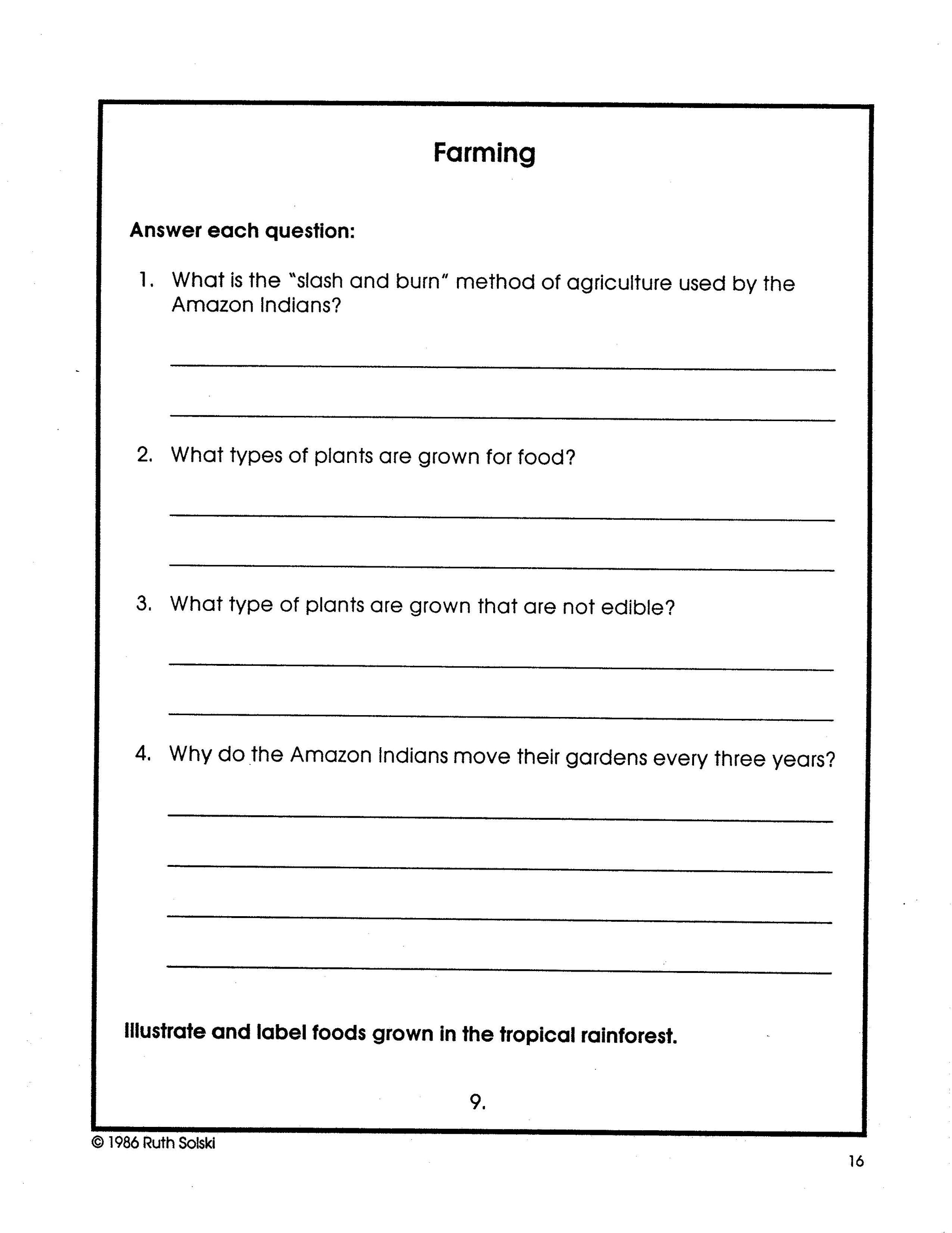 All About Tropical Rainforests Grades 4-6 Plants, Animals, Life in the Amazon