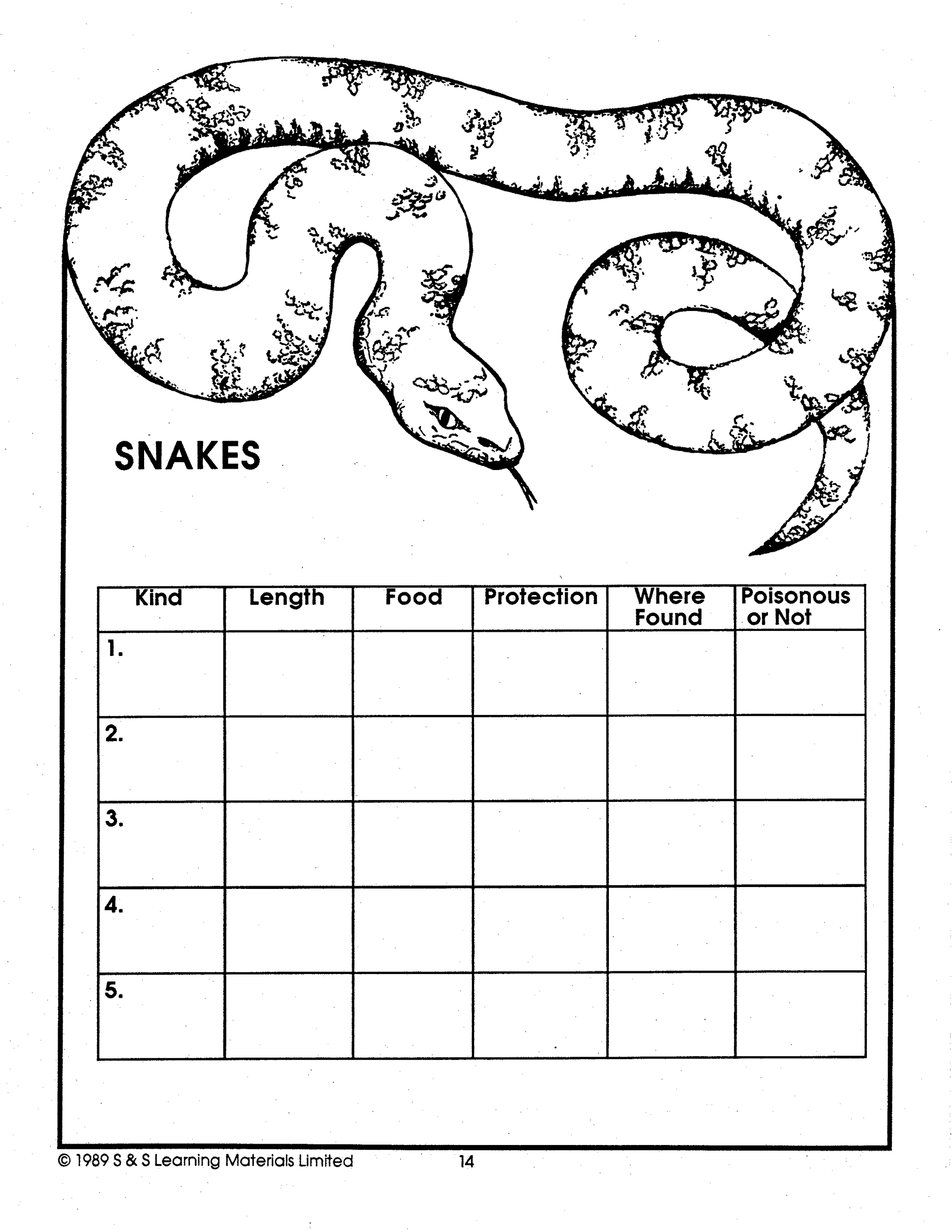 Reptiles Grades 4-6