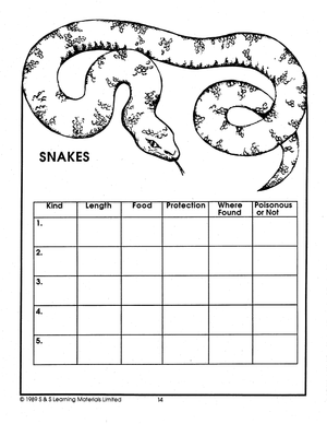 Reptiles Grades 4-6
