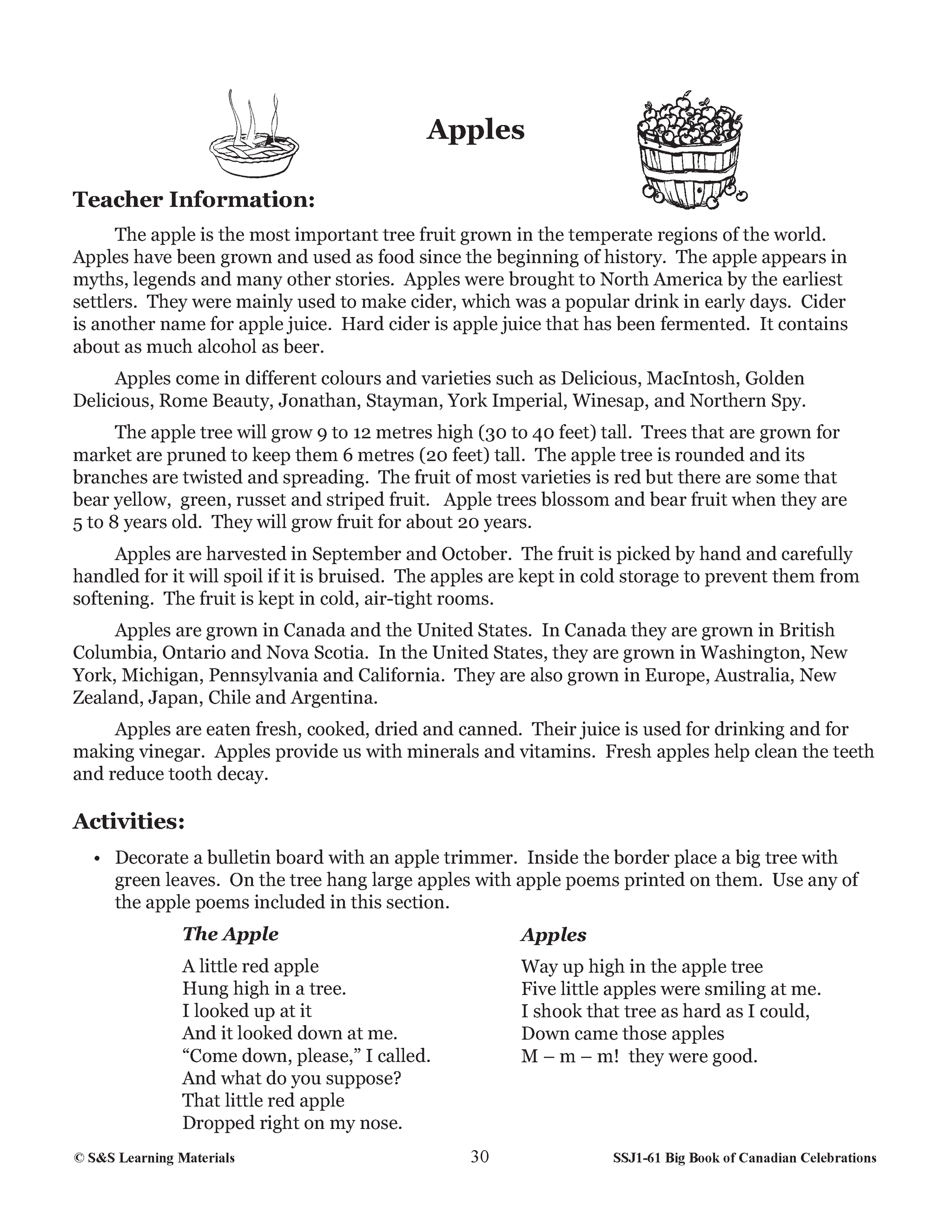 Apples Lesson Grades 1-3 Teacher Directed Lesson & Activities