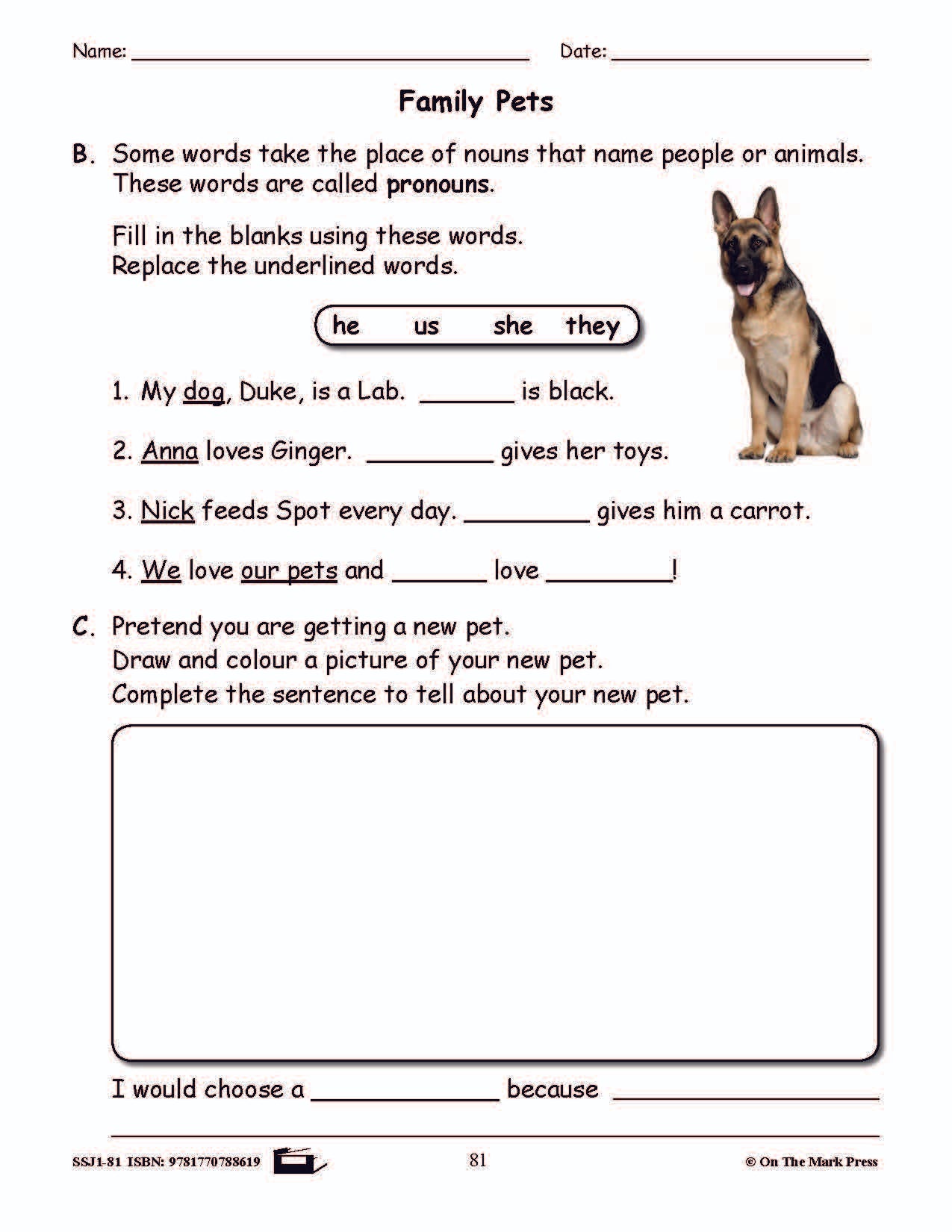 Family Pets Grammar Lesson Gr. 1