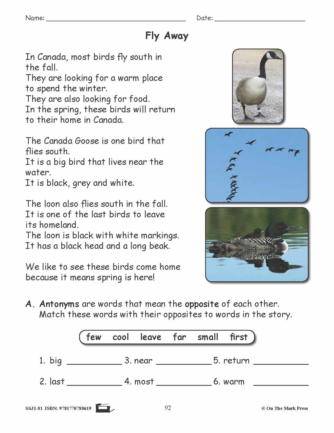 Fly Away Grammar Lesson Grade 1