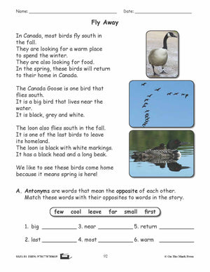 Fly Away Grammar Lesson Grade 1