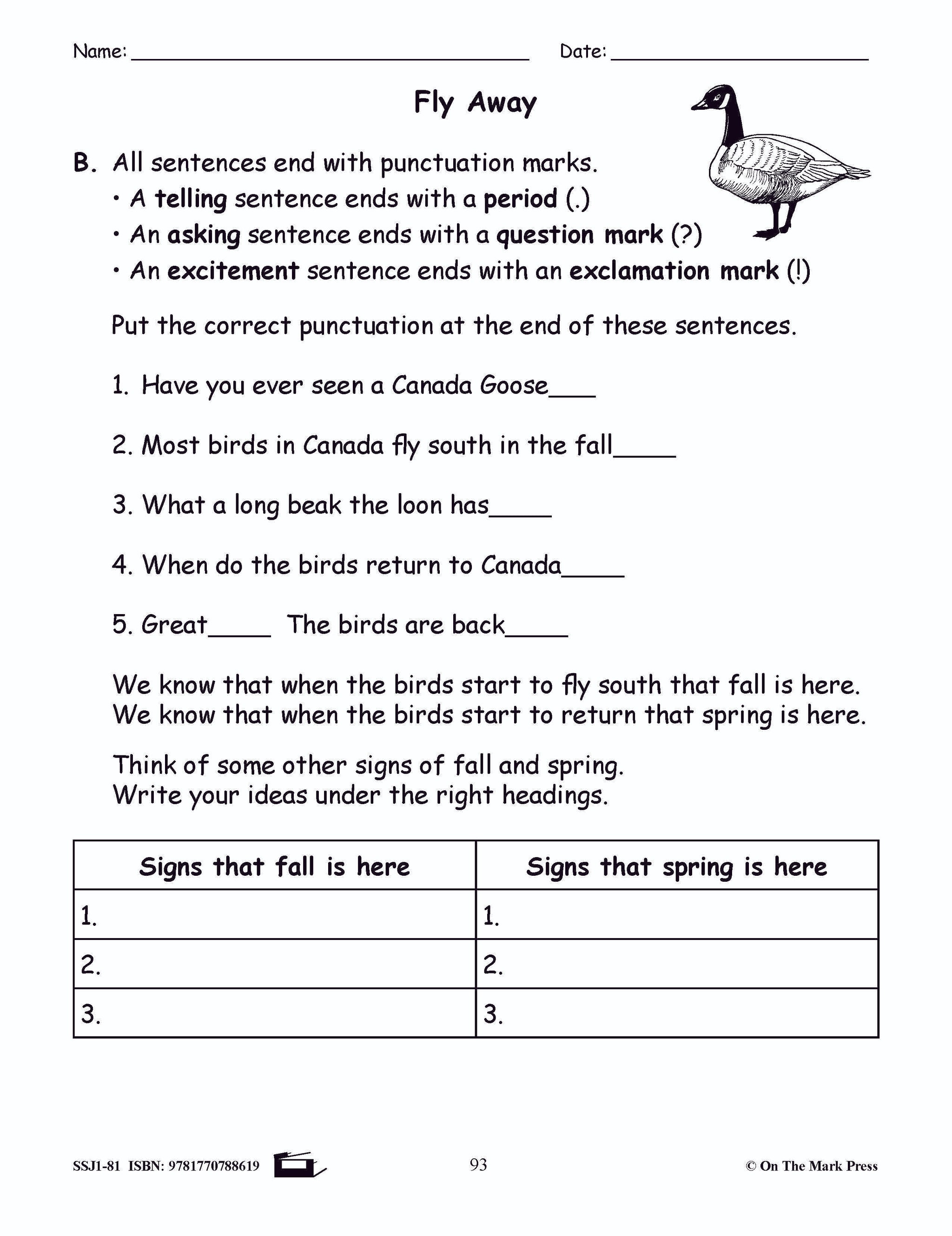 Fly Away Grammar Lesson Grade 1