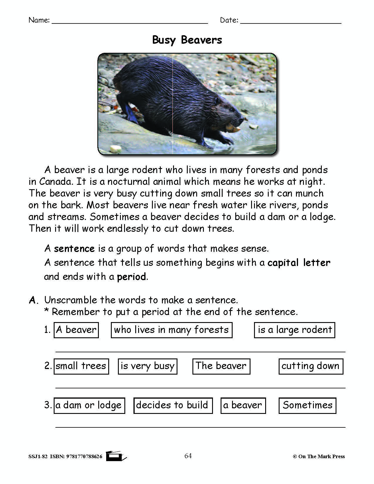 Busy Beavers Grammar Lesson Grade 2