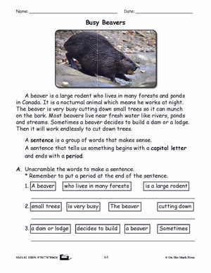 Busy Beavers Grammar Lesson Grade 2