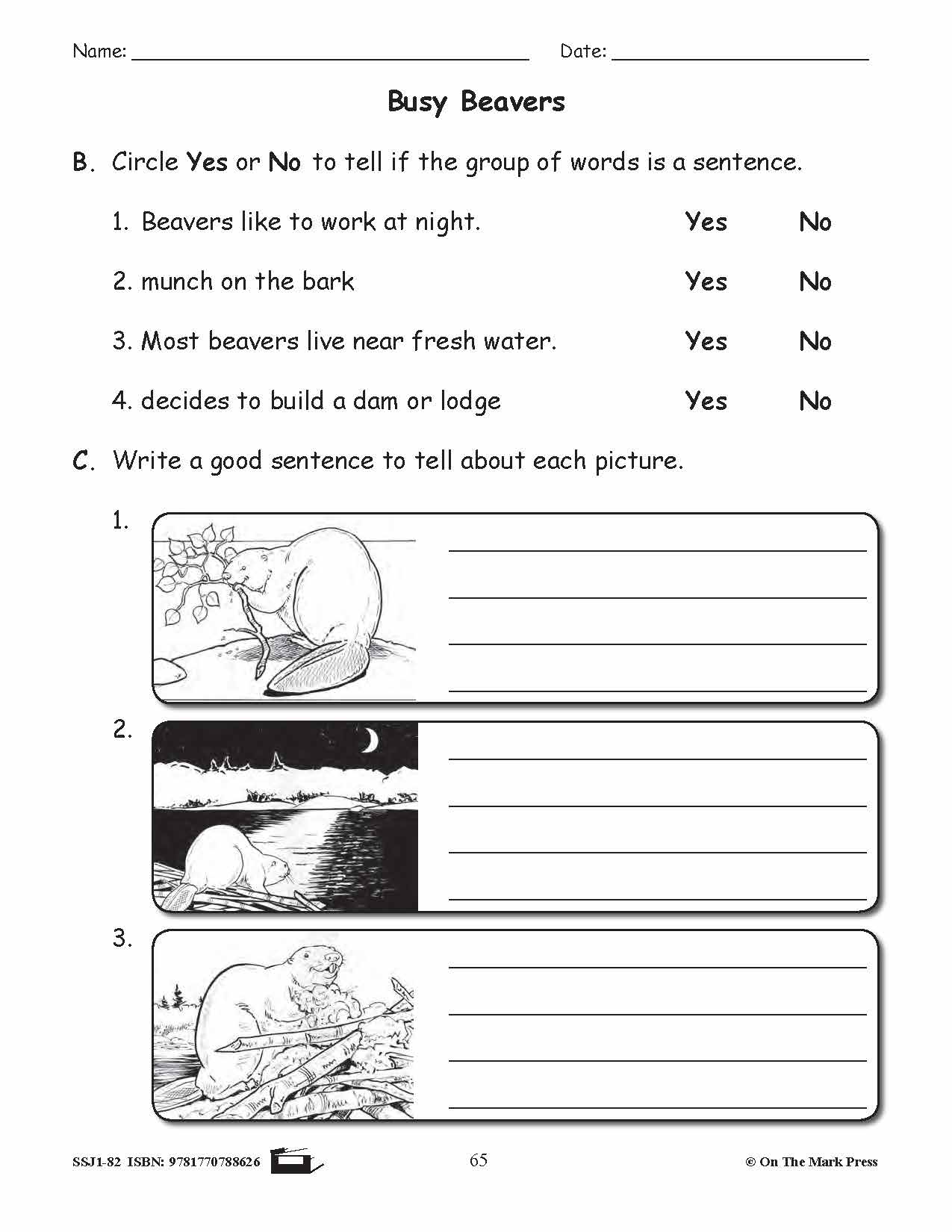 Busy Beavers Grammar Lesson Grade 2