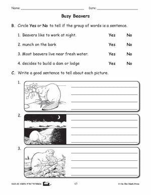 Busy Beavers Grammar Lesson Grade 2