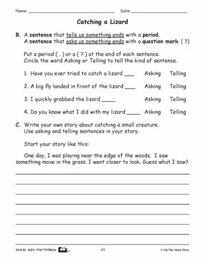 Catching a Lizard Writing & Grammar Lesson Grade 2