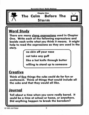 Berenstain Bears: 4 Lit Link/Novel Study Bundle! Grades 1-3