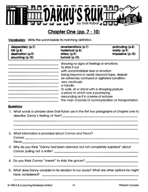 Danny's Run, Lit Link/Novel Study Guide Gr. 4-6