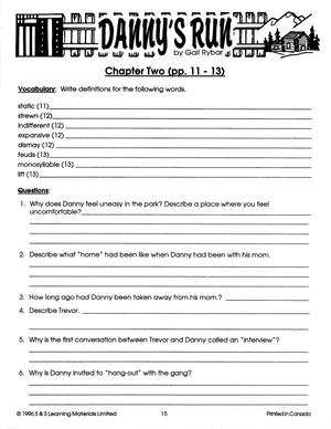 Danny's Run, Lit Link/Novel Study Guide Gr. 4-6