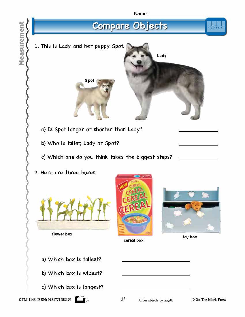First Grade Measurement Lesson Plan Aligned to Common Core