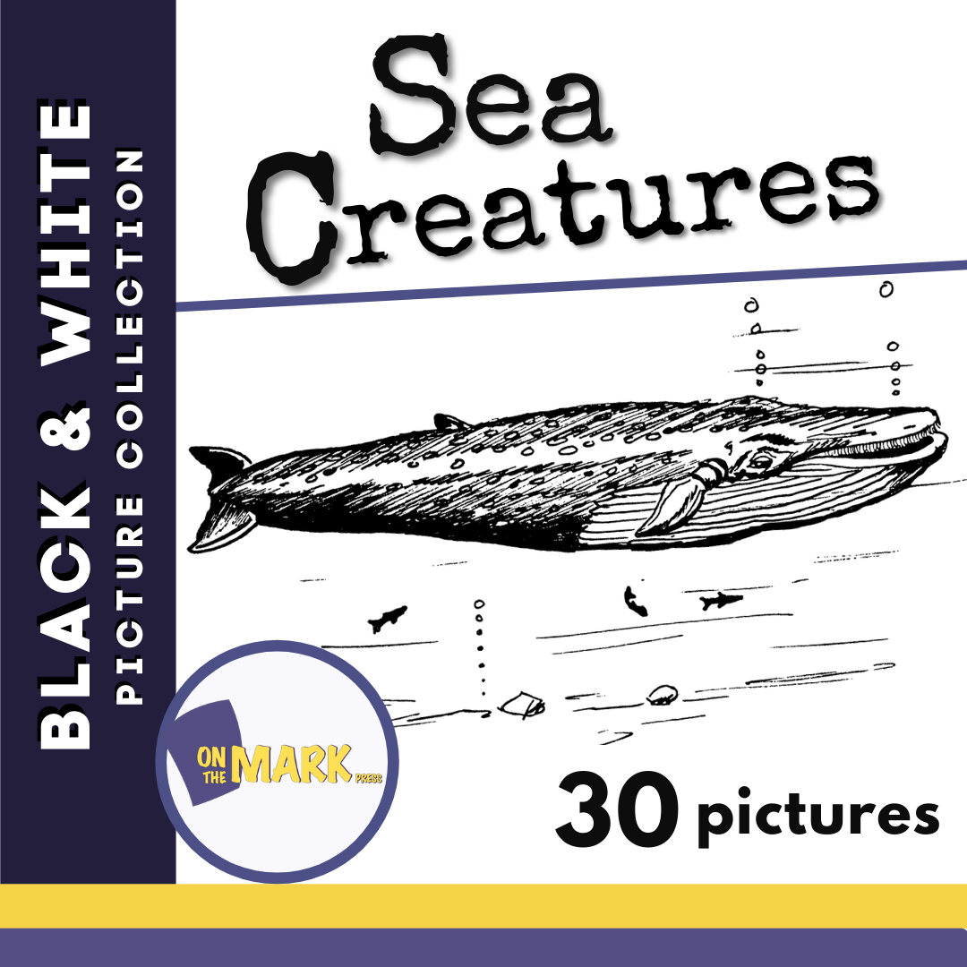 Sea Creatures Black & White Picture Collection Grades 1-8