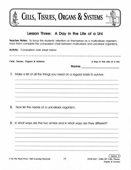 A Day in the Life of a Uni Lesson Grades 7-8