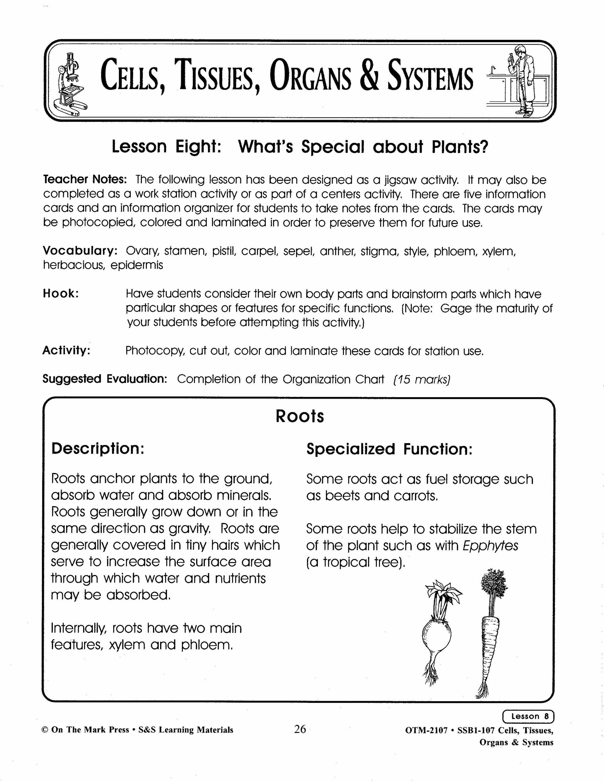 What's special about plants?  Lesson Grades 7-8