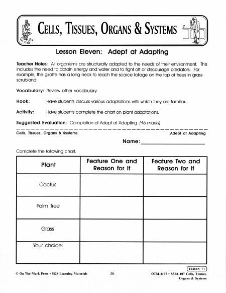 Adept at Adapting Lesson Grades 7-8