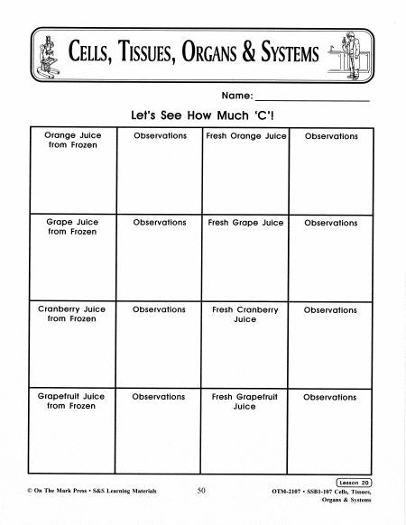 Let's See How Much Vitamin "C" Experiment Grades 7-8