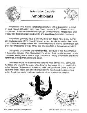 Amphibians Lesson Grades 2-3