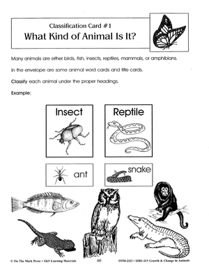 What Kind of Animal is it?  Classification Activity Grades 2-3